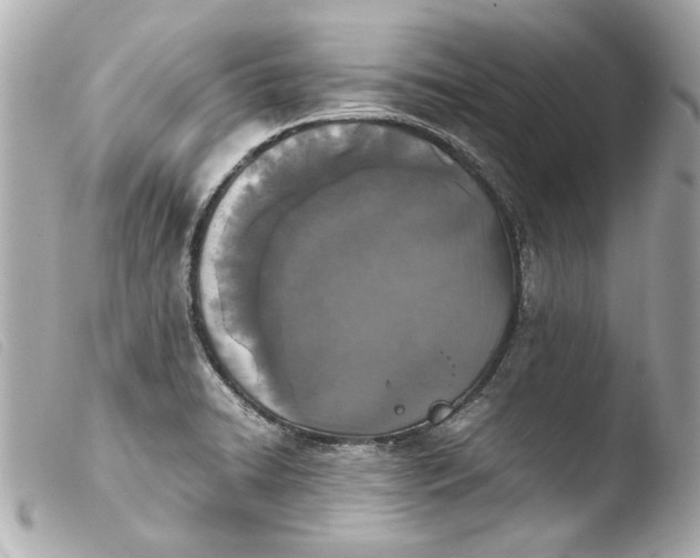 X0000103901422200810031138