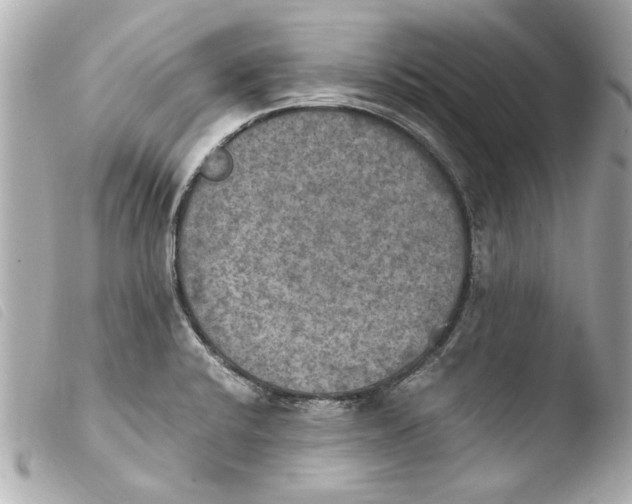 X0000103901424200810031138