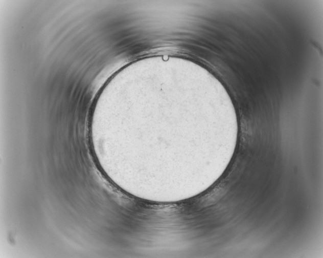 X0000103901426200810031138