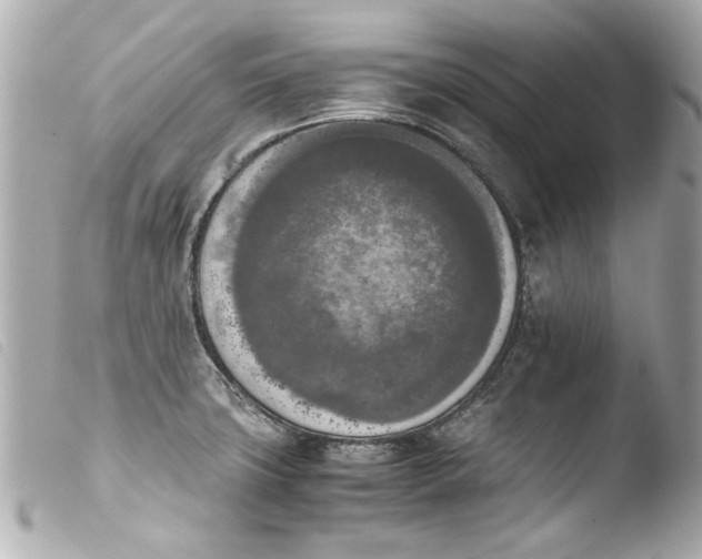 X0000103901427200810031138