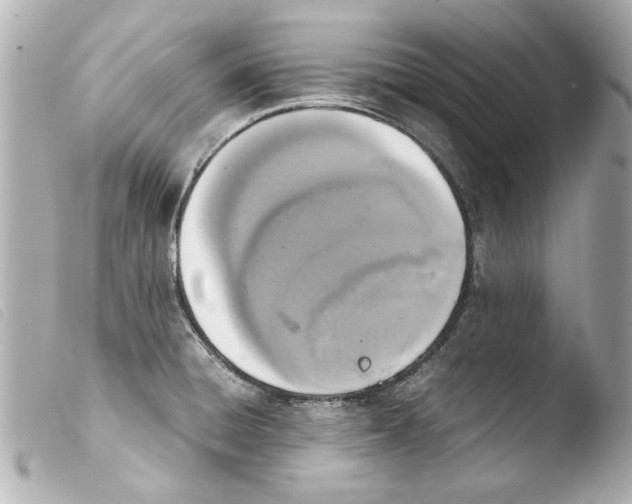 X0000103901428200810031138