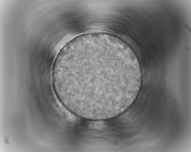 X0000103901431200810031138