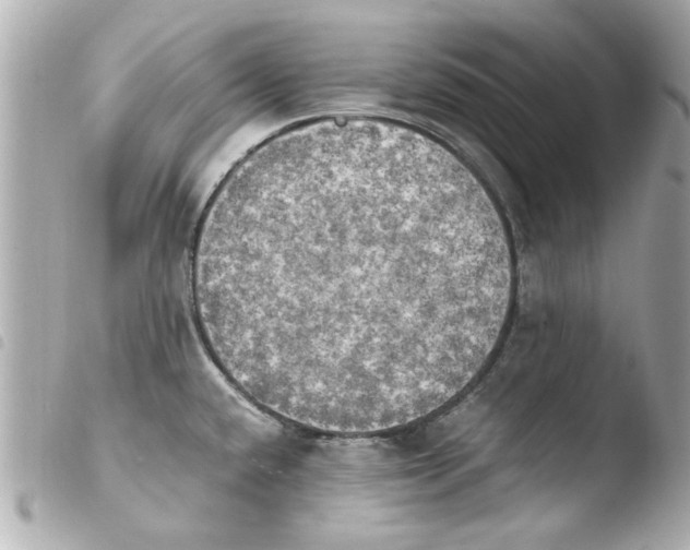 X0000103901432200810031138