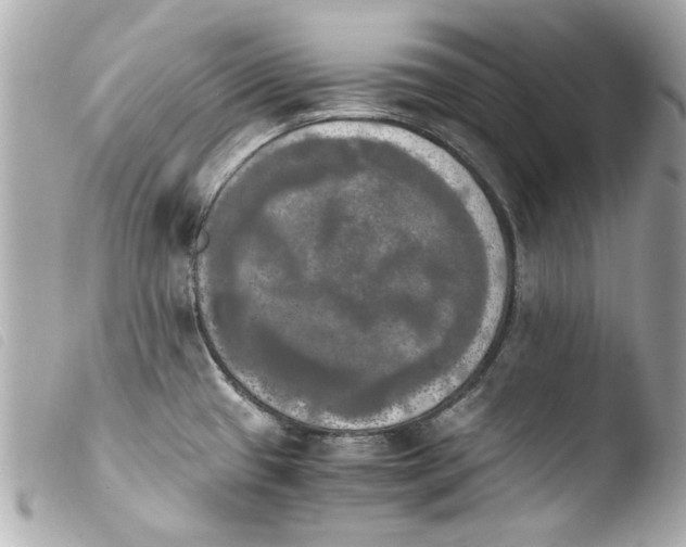 X0000103901433200810031138