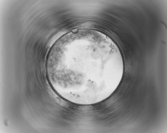 X0000103901434200810031138