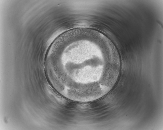 X0000103901435200810031138