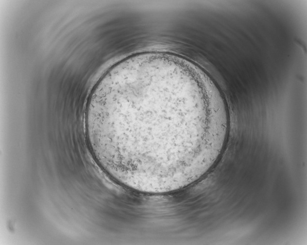 X0000103901436200810031138