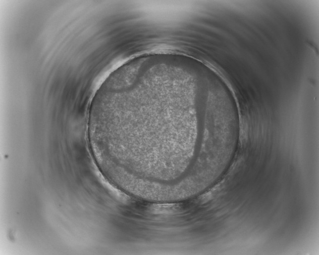 X0000103901437200810031138