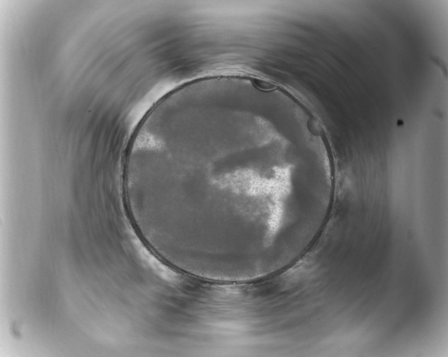 X0000103901438200810031138