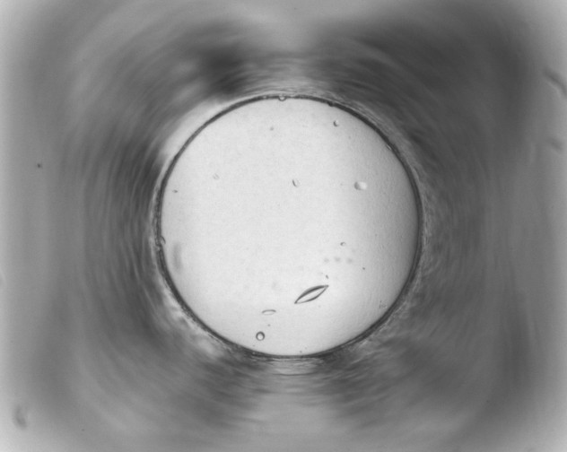 X0000103901440200810031138