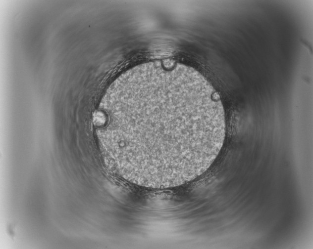 X0000103901441200810031138