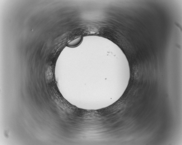 X0000103901442200810031138