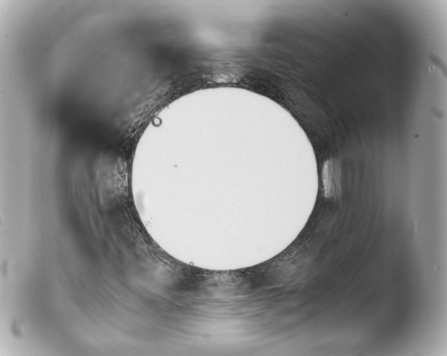 X0000103901443200810031138