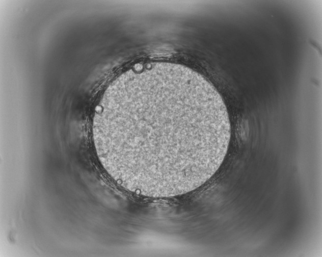 X0000103901445200810031138