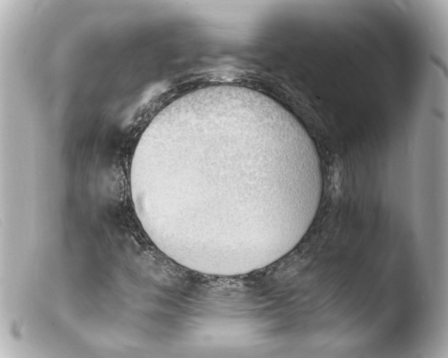 X0000103901446200810031138