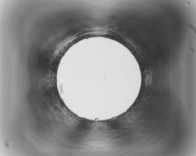 X0000103901448200810031138