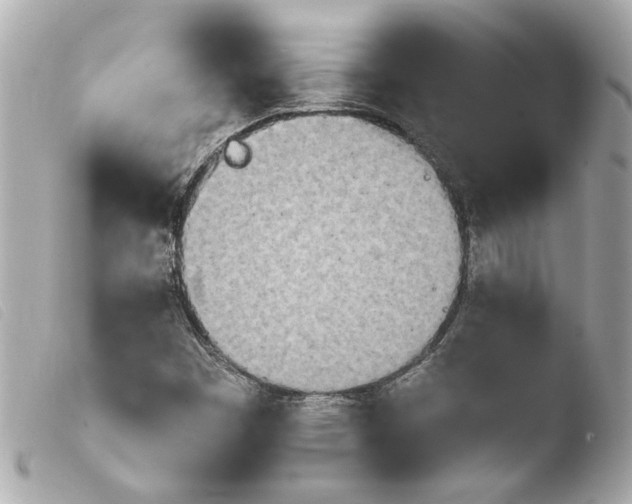 X0000103901449200810031138