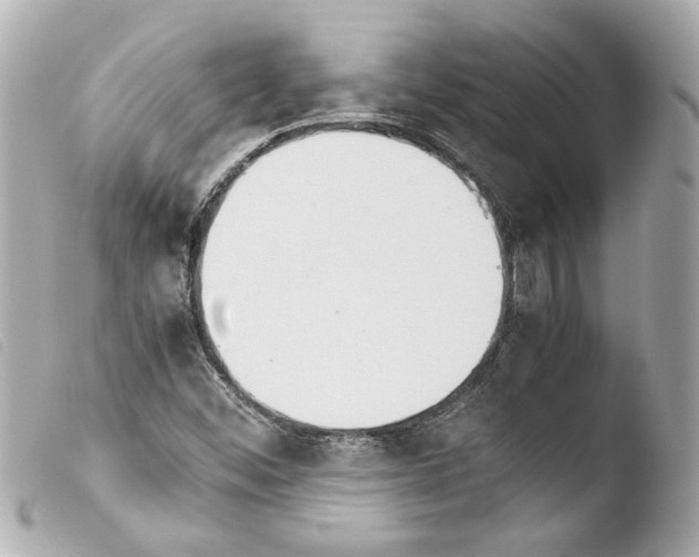 X0000103901452200810031137