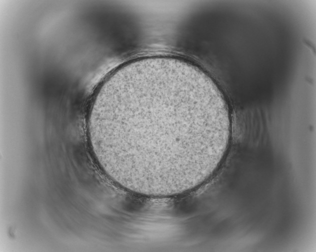 X0000103901453200810031137