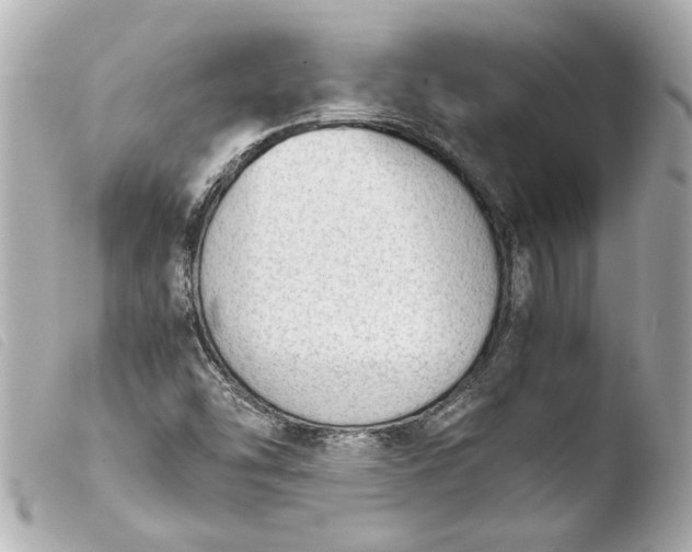 X0000103901454200810031137