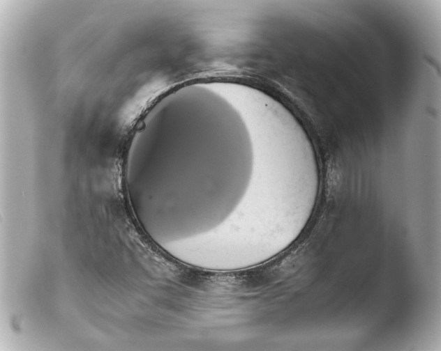 X0000103901455200810031137