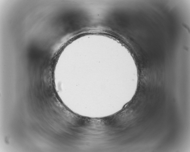 X0000103901456200810031137