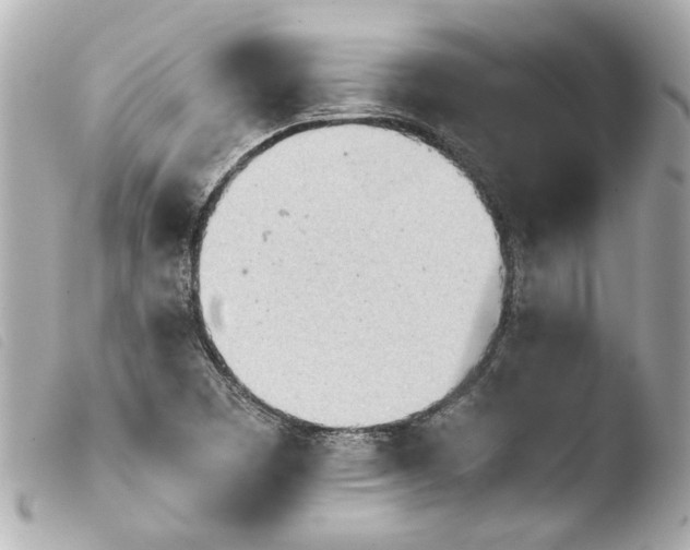 X0000103901457200810031137