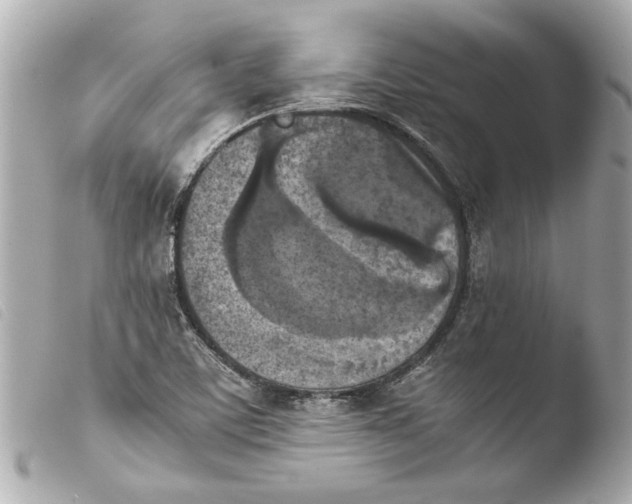 X0000103901459200810031137