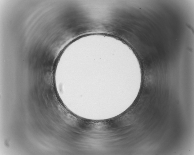 X0000103901460200810031137