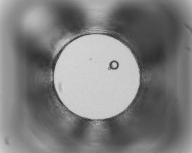 X0000103901461200810031137