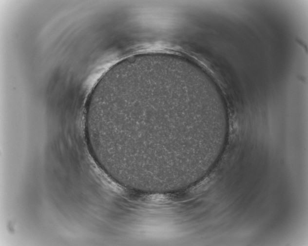 X0000103901463200810031137