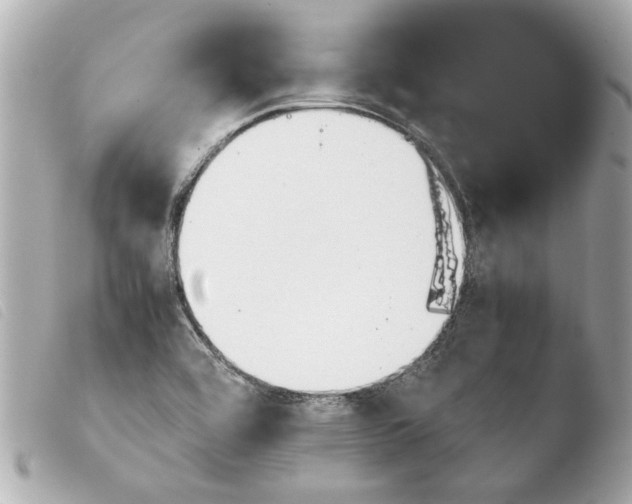 X0000103901464200810031137