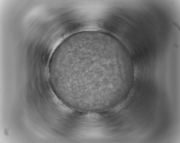 X0000103901466200810031137