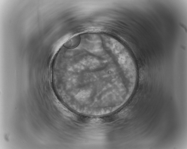 X0000103901467200810031137