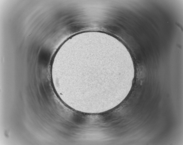 X0000103901468200810031137