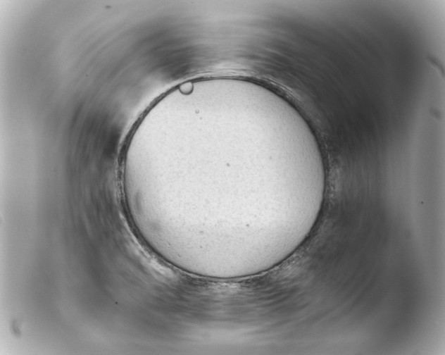 X0000103901470200810031137