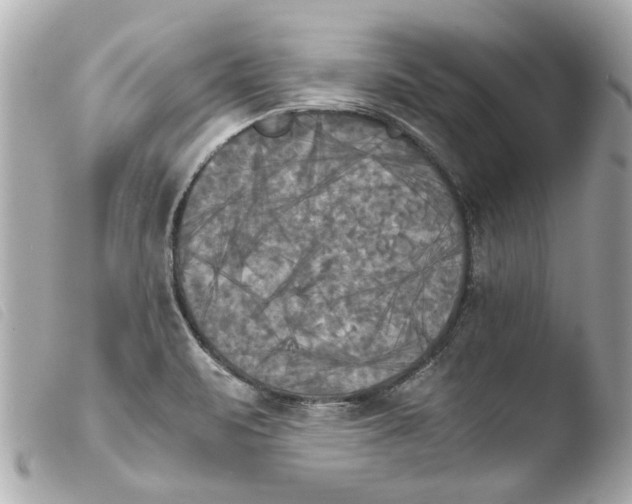 X0000103901471200810031137