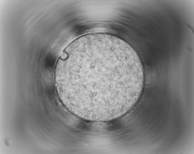 X0000103901473200810031137