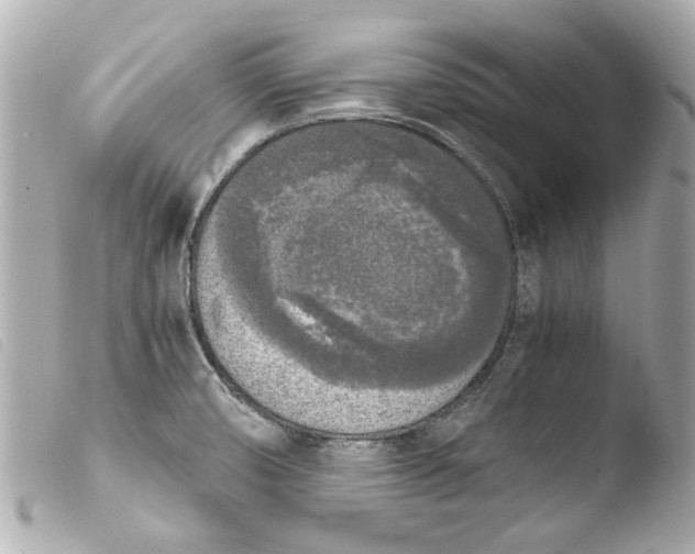 X0000103901474200810031137