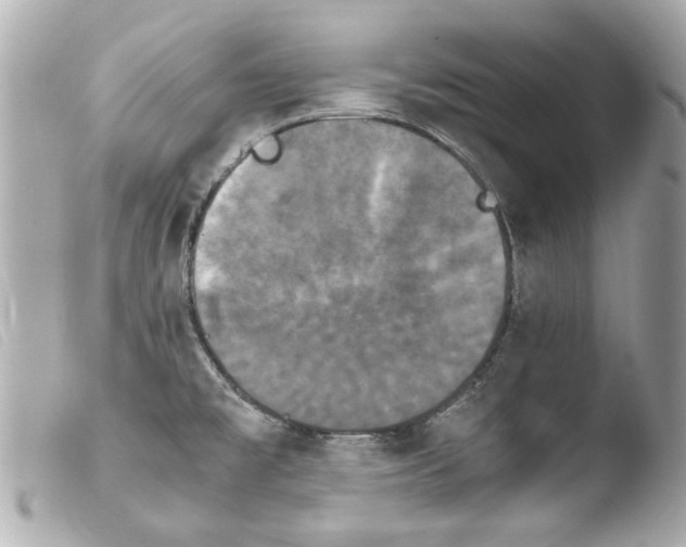 X0000103901477200810031137