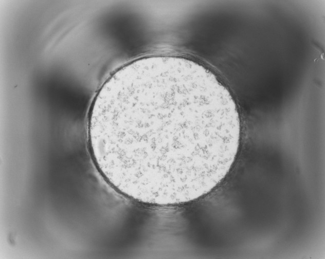 X0000103901479200810031137