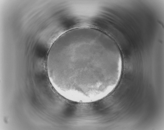 X0000103901481200810031137