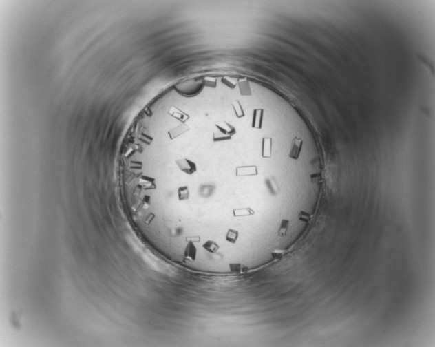 X0000103901482200810031137