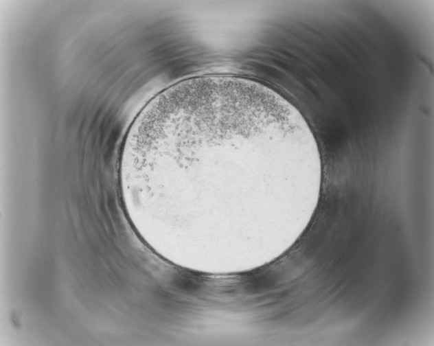 X0000103901483200810031137