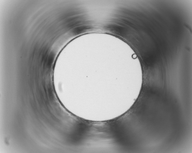 X0000103901484200810031137