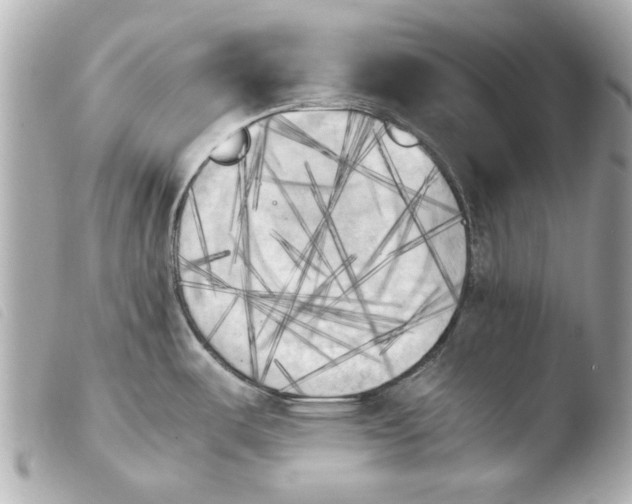 X0000103901487200810031137