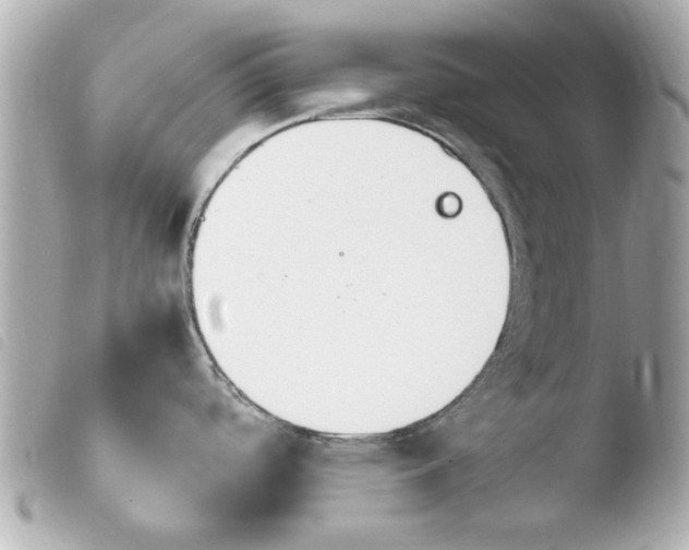 X0000103901488200810031137