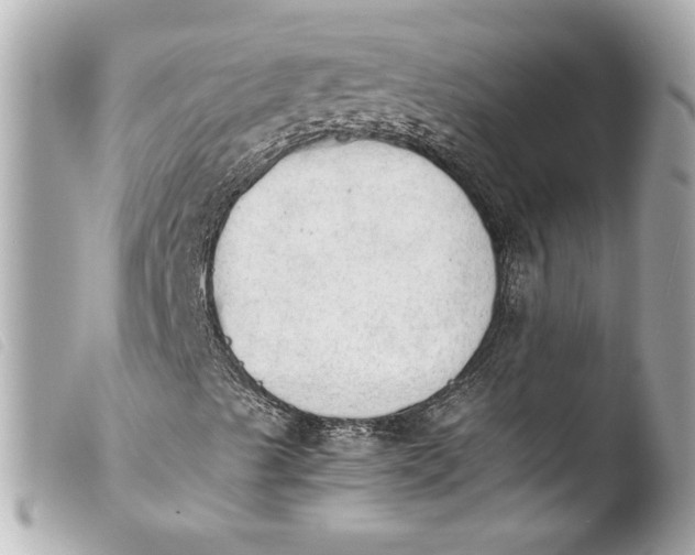 X0000103901489200810031136