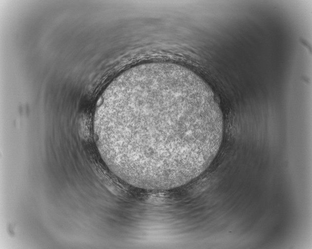 X0000103901490200810031136