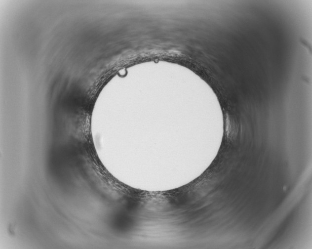 X0000103901492200810031136